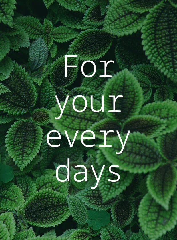 LifePlus_Case_Study_4